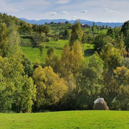 Pe Culmile Șimonului la Vârful Secătura [3]