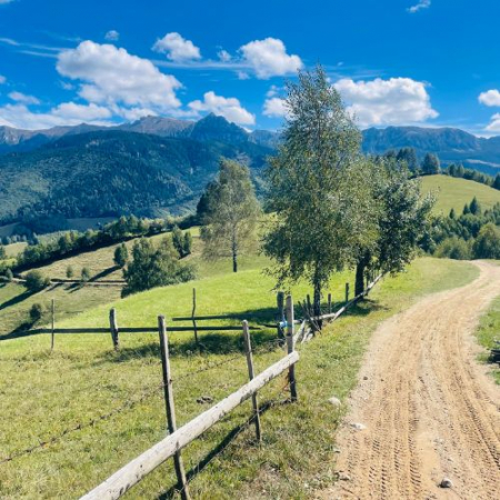 Drumeții - Pe Culmile Șimonului la Vârful Secătura
