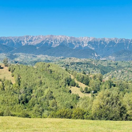 Pe Culmile Șimonului la Vârful Secătura [7]