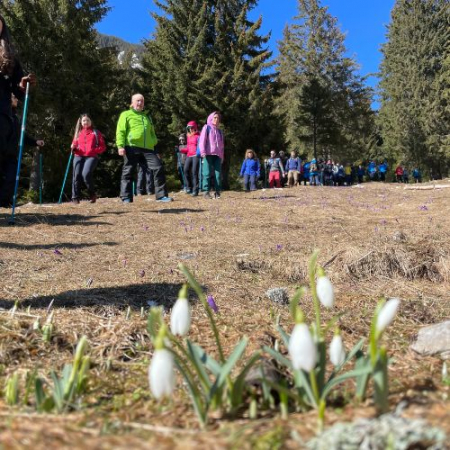 Primăvara în Piatra Craiului - Șaua Crăpăturii [1]