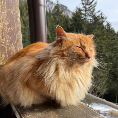 Primăvara în Piatra Craiului - Șaua Crăpăturii [4]