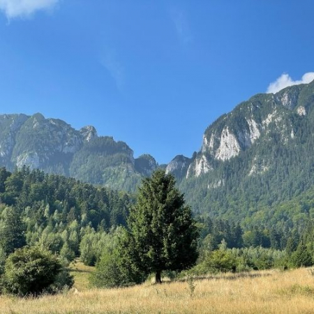 Refugiul Diana - Piatra Craiului [2]