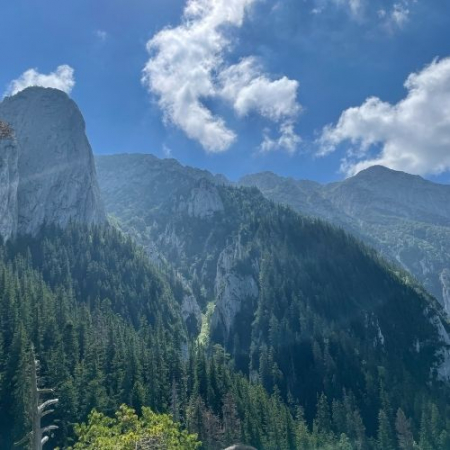 Refugiul Diana - Piatra Craiului [6]
