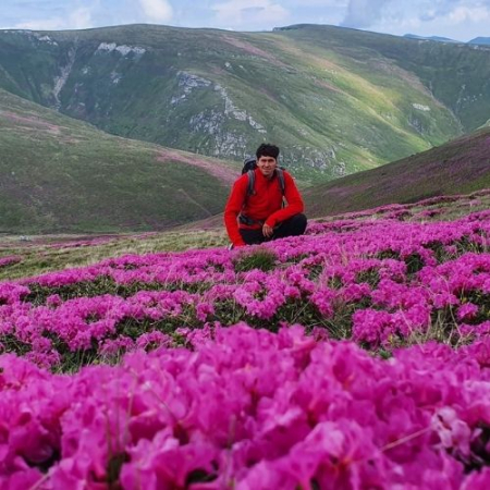 Drumeții - Rhododendron la Vârful Bătrâna