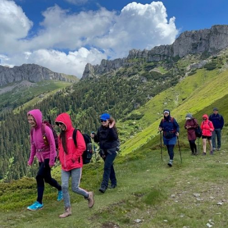 Rhododendron pe Vârful Bucșa [7]