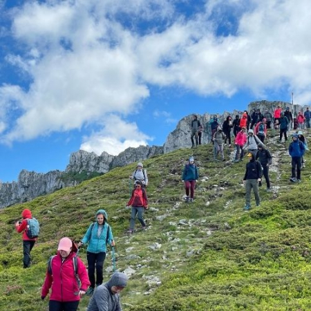 Rhododendron pe Vârful Bucșa [3]