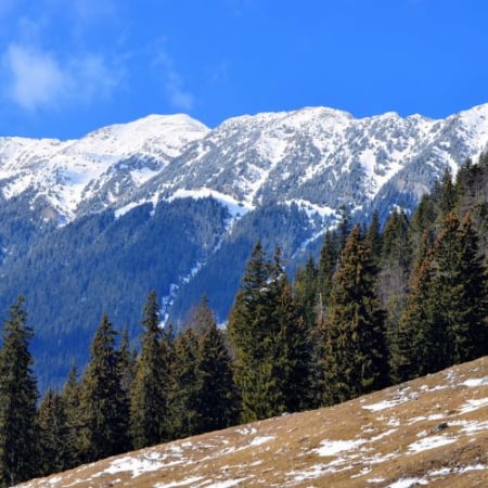 Drumeții - Șaua Crăpăturii - Piatra Craiului