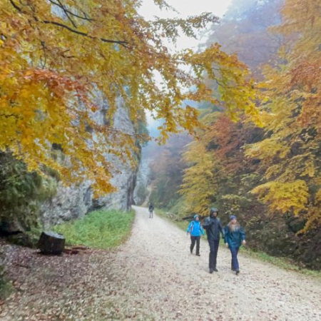 Drumeții - Toamna din Satul Șirnea până în Prăpăstiile Zărneștilor