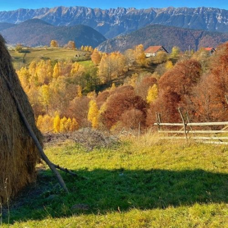 Toamna la Amfiteatrul Transilvaniei și Plaiul Bisericuței [1]