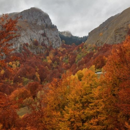 Toamna Ruginie în Buila Vânturarița [5]