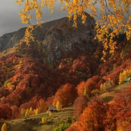 Toamna Ruginie în Buila Vânturarița [1]