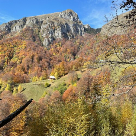 Toamna Ruginie în Buila Vânturarița [3]