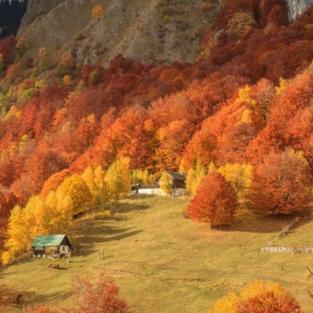Drumeții - Toamna Ruginie în Buila Vânturarița