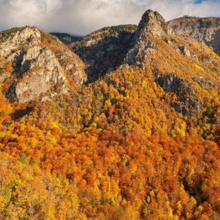 Toamna Ruginie în Masivul Cozia [2]