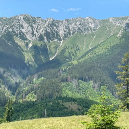 Ursa Mică și Mâncarea la Ceaun - Piatra Craiului [8]