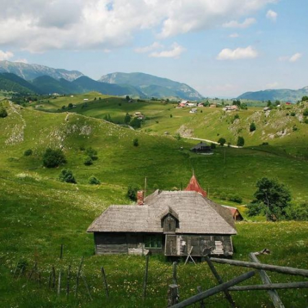 Ursa Mică și Mâncarea la Ceaun - Piatra Craiului [3]