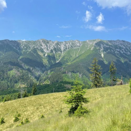 Ursa Mică și Mâncarea la Ceaun - Piatra Craiului [7]