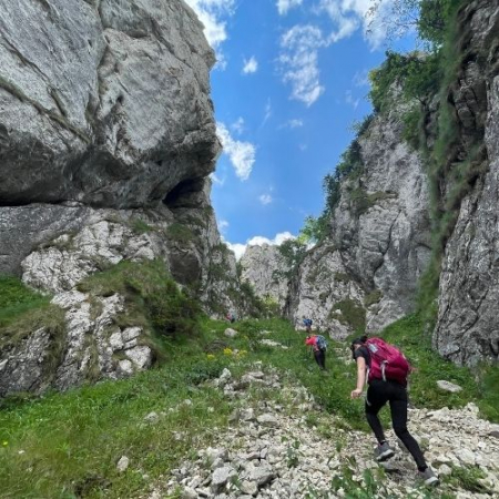 Valea Crăpăturii din Piatra Craiului  [1]