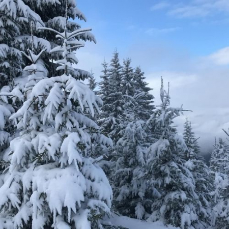 Vârful Clăbucetul Taurului și Cabana Gârbova  [2]