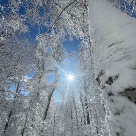 Nebun de Alb pe Vârful Grecului și la Cabana Diham [1]