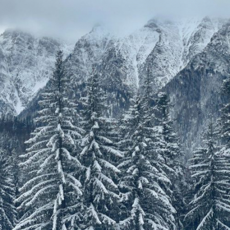 Nebun de Alb pe Vârful Grecului și la Cabana Diham [7]