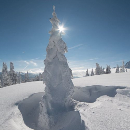 Nebun de Alb pe Vârful Grecului și la Cabana Diham [9]