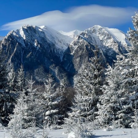 Drumeții - Nebun de Alb pe Vârful Grecului și la Cabana Diham