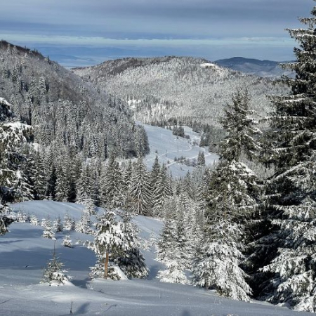 Nebun de Alb pe Vârful Grecului și la Cabana Diham [5]
