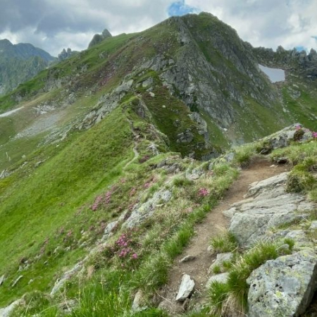 Vârful Vânătarea lui Buteanu - Munții Făgăraș (2507 m) [3]