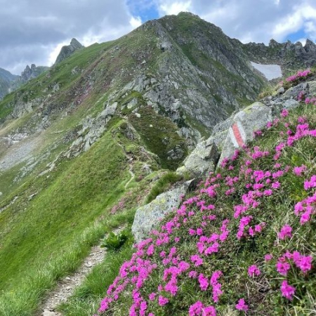 Vârful Vânătarea lui Buteanu - Munții Făgăraș (2507 m) [1]