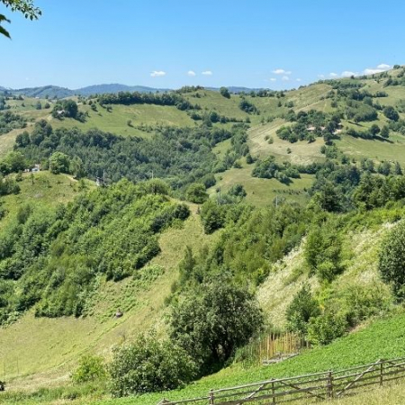 Verde Crud din Măgura Codlei până în satul Holbav  [7]