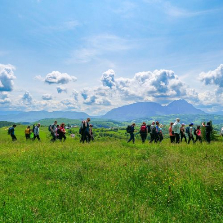 Drumeții - Verde Crud din Măgura Codlei până în satul Holbav 