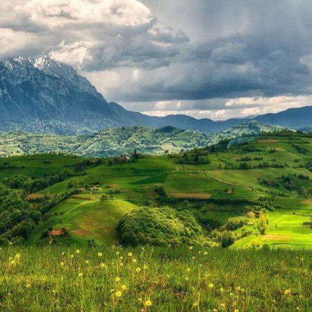 Verde Crud din Măgura Codlei până în satul Holbav  [1]