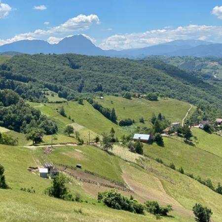 Verde Crud din Măgura Codlei până în satul Holbav  [9]