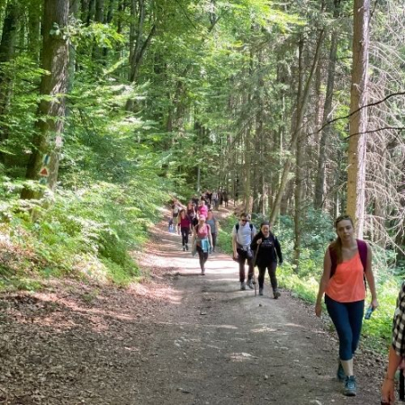 Verde Crud din Măgura Codlei până în satul Holbav  [4]