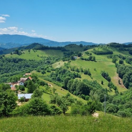 Verde Crud din Măgura Codlei până în satul Holbav  [10]