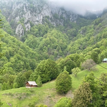 Verde Crud în Masivul Buila Vânturarița [7]