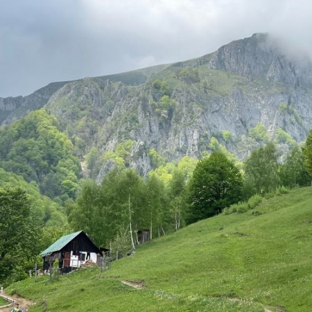 Drumeții - Verde Crud în Masivul Buila Vânturarița