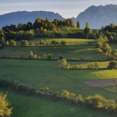 De Ziua Copilului drumeție pitorească în Poiana Mărului [5]