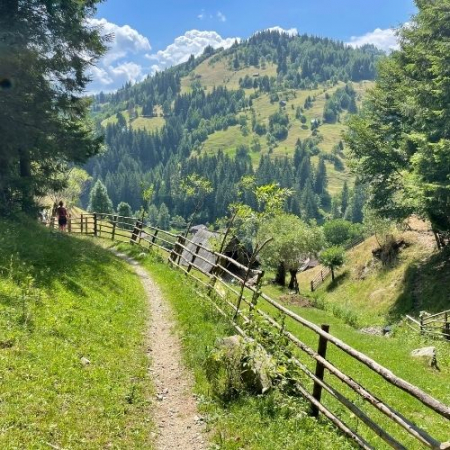 Verde Crud la Amfiteatrul Transilvaniei și Plaiul Bisericuței [5]