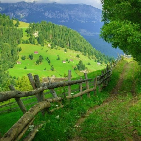 Verde Crud la Amfiteatrul Transilvaniei și Plaiul Bisericuței [1]