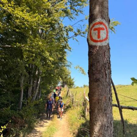 Via Transilvanica - Terra Borza Teutonica și Mâncarea la Ceaun [2]