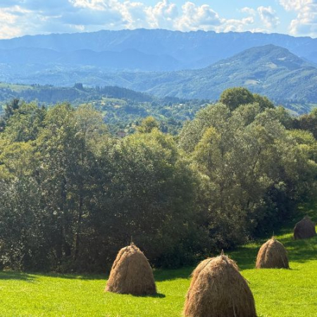 Via Transilvanica - Terra Borza Teutonica și Mâncarea la Ceaun [6]