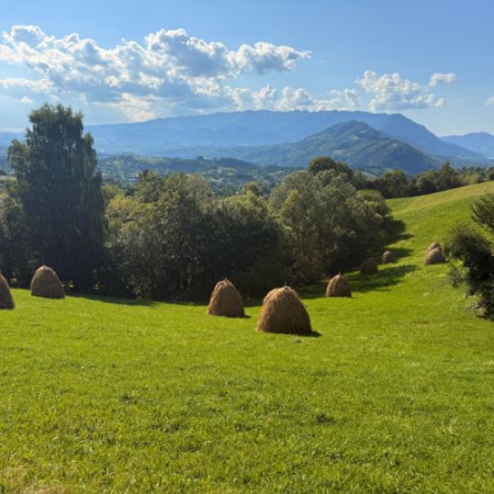 Via Transilvanica - Terra Borza Teutonica și Mâncarea la Ceaun [9]