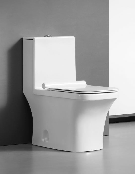Set vas wc cu capac slim, montare pe podea, rimless, evacuare laterala, alb 68 x 36 x 74 cm T2071 [1]