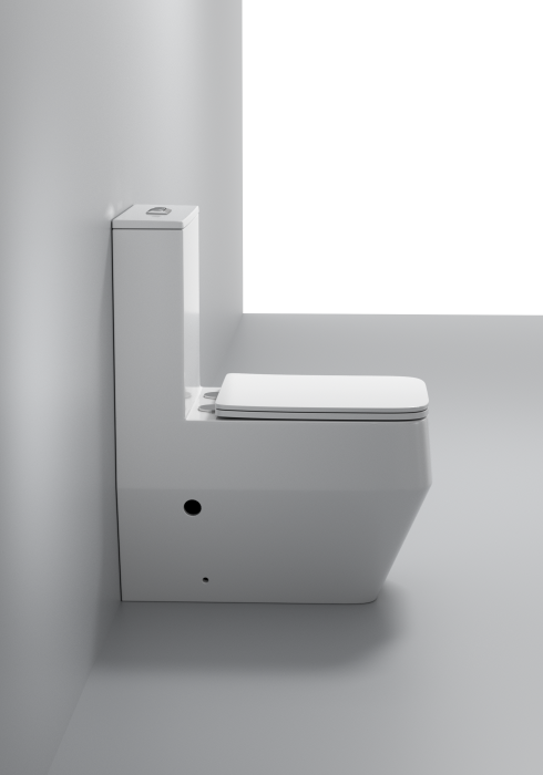 Set vas WC cu capac slim, montare pe podea, Rimless, evacuare laterală, finisaj alb 67 x 37 x  79.5 cm - T2133 [3]