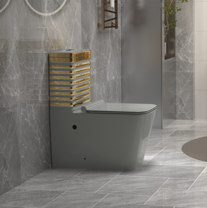 Set vas WC cu capac slim, montare pe podea, Rimless, evacuare laterală, finisaj gri/auriu – 64 × 36 × 80 cm - T2079EGG [2]