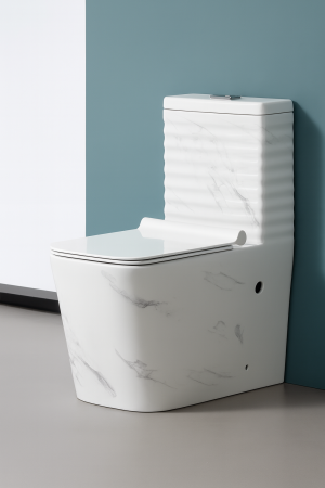 Set vas wc cu capac slim, montare pe podea, rimless, evacuare laterala, 64 x 36 x 80 cm T2079UG [3]
