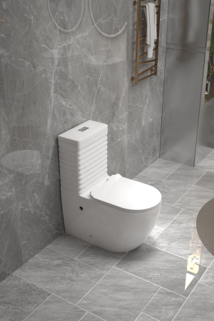 Set vas wc cu capac slim, montare pe podea, rimless, evacuare laterala,  68 x 37 x 80 cm T2127 [5]