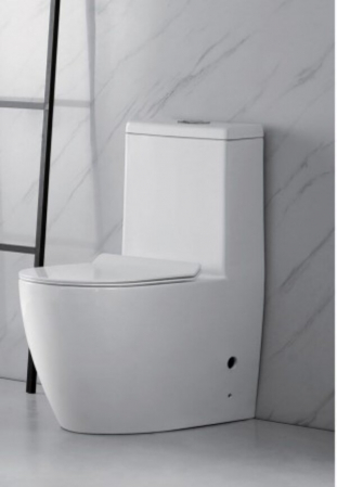 Set vas wc cu capac slim, montare pe podea, rimless, evacuare laterala, alb 68 x 37 x 80 cm T2075 [2]